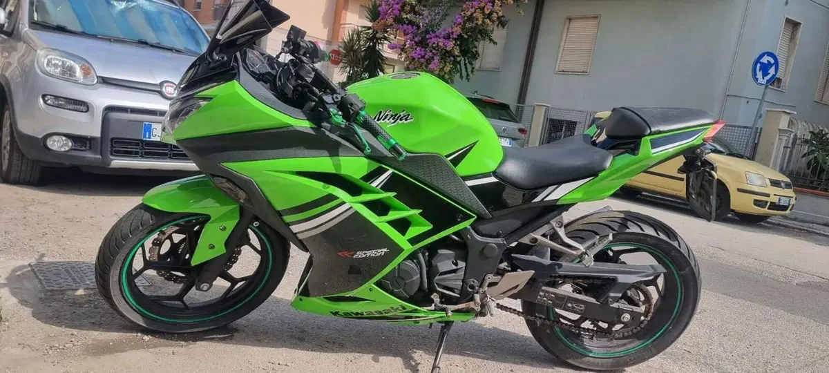 Kawasaki Ninja 300 (2012 - 14) (2)
