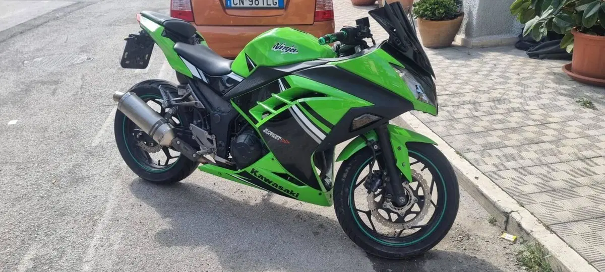 Kawasaki Ninja 300 (2012 - 14) (3)