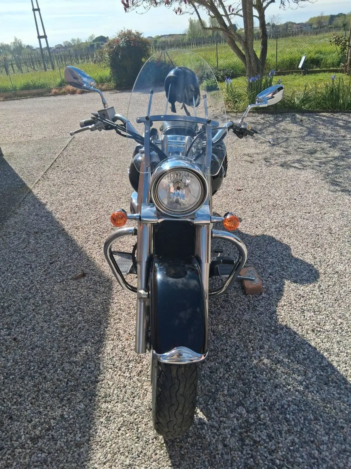 Suzuki VL 800 Intruder C (2005 - 06) (3)