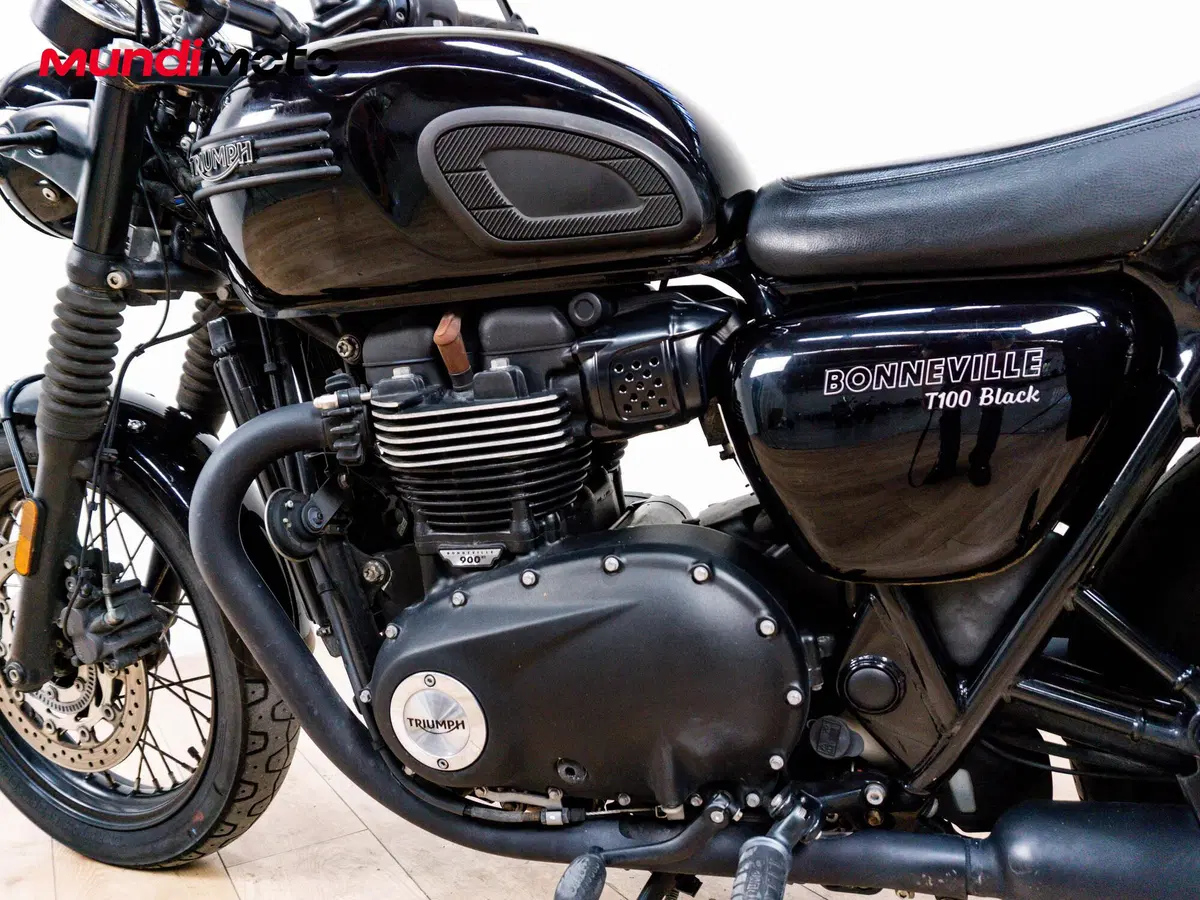 Triumph Bonneville T100 Black (2017 - 20) (10)