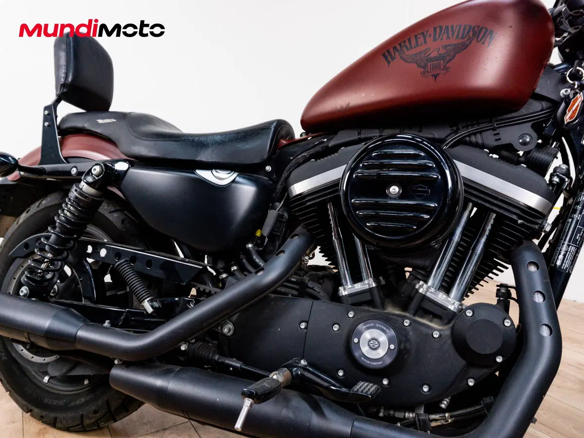 Harley-Davidson 883 Standard (2001 - 05) - XL 883 (5)