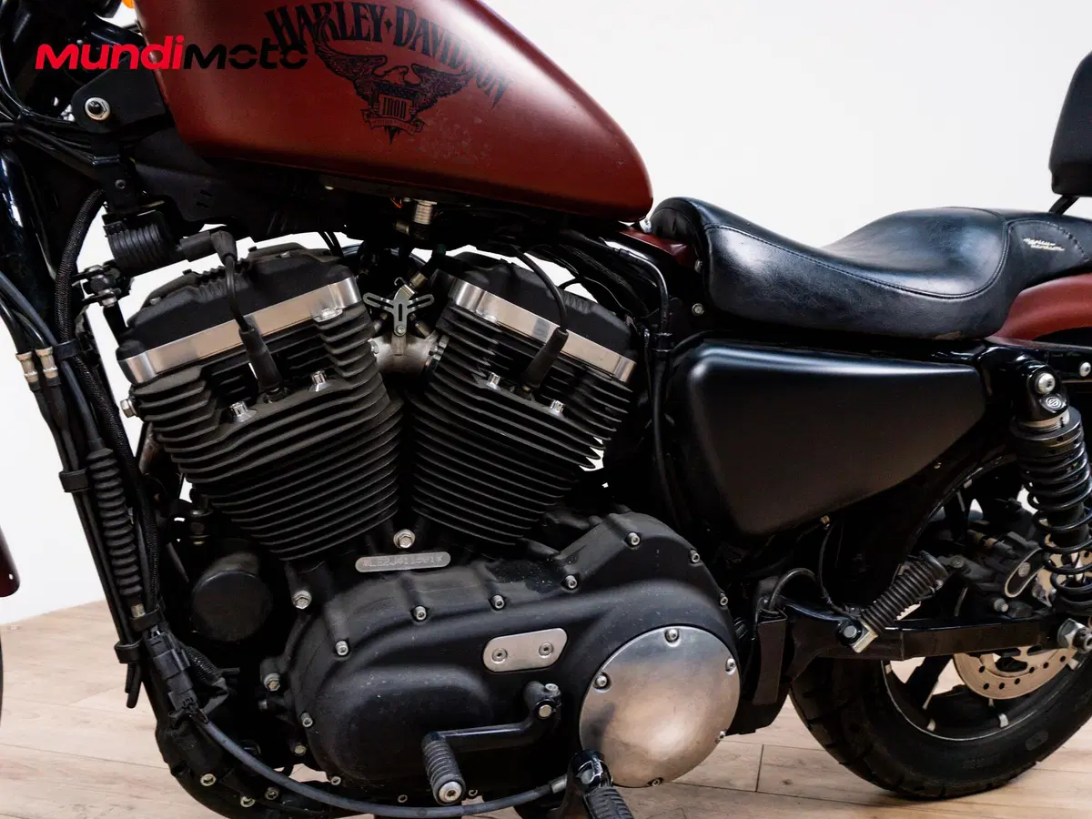 Harley-Davidson 883 Standard (2001 - 05) - XL 883 (9)