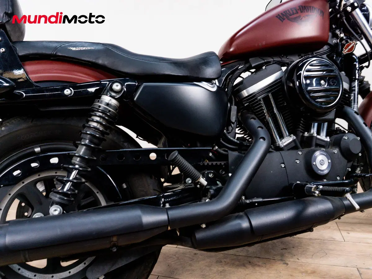 Harley-Davidson 883 Standard (2001 - 05) - XL 883 (4)