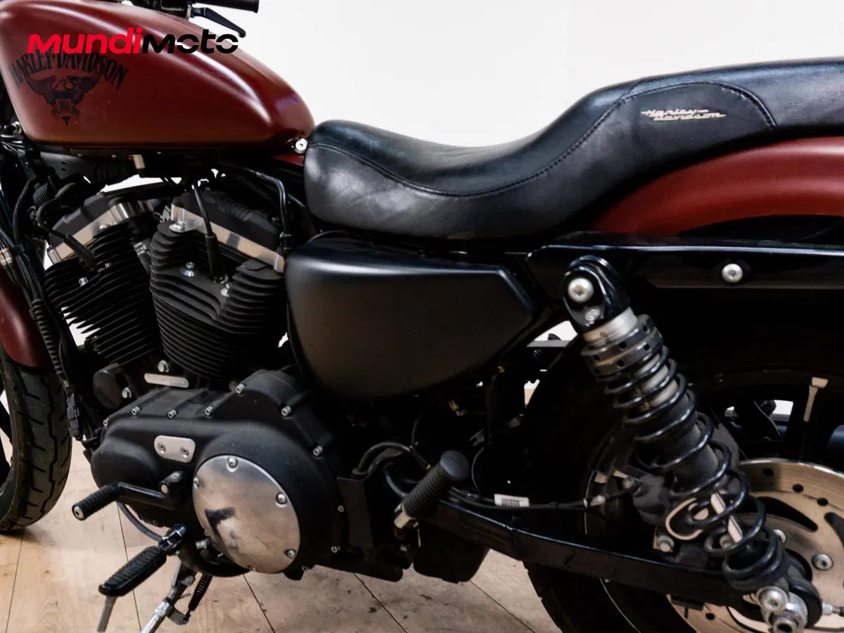 Harley-Davidson 883 Standard (2001 - 05) - XL 883 (10)