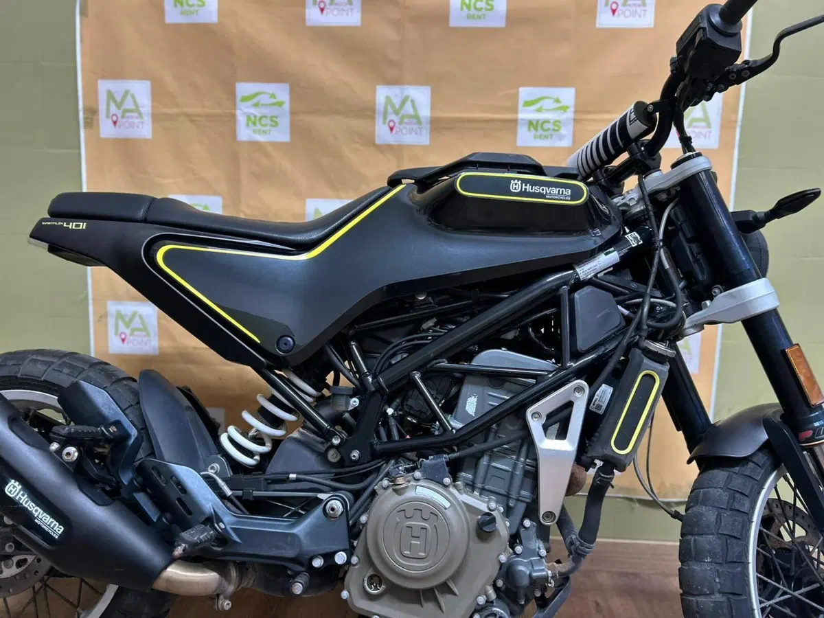 Husqvarna Svartpilen 401 (2018 - 19) (9)