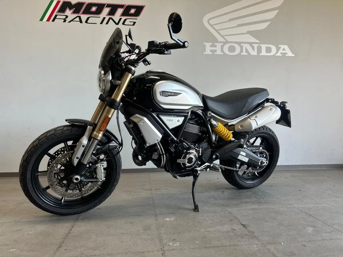 Ducati Scrambler 1100 (2018 - 20) (3)