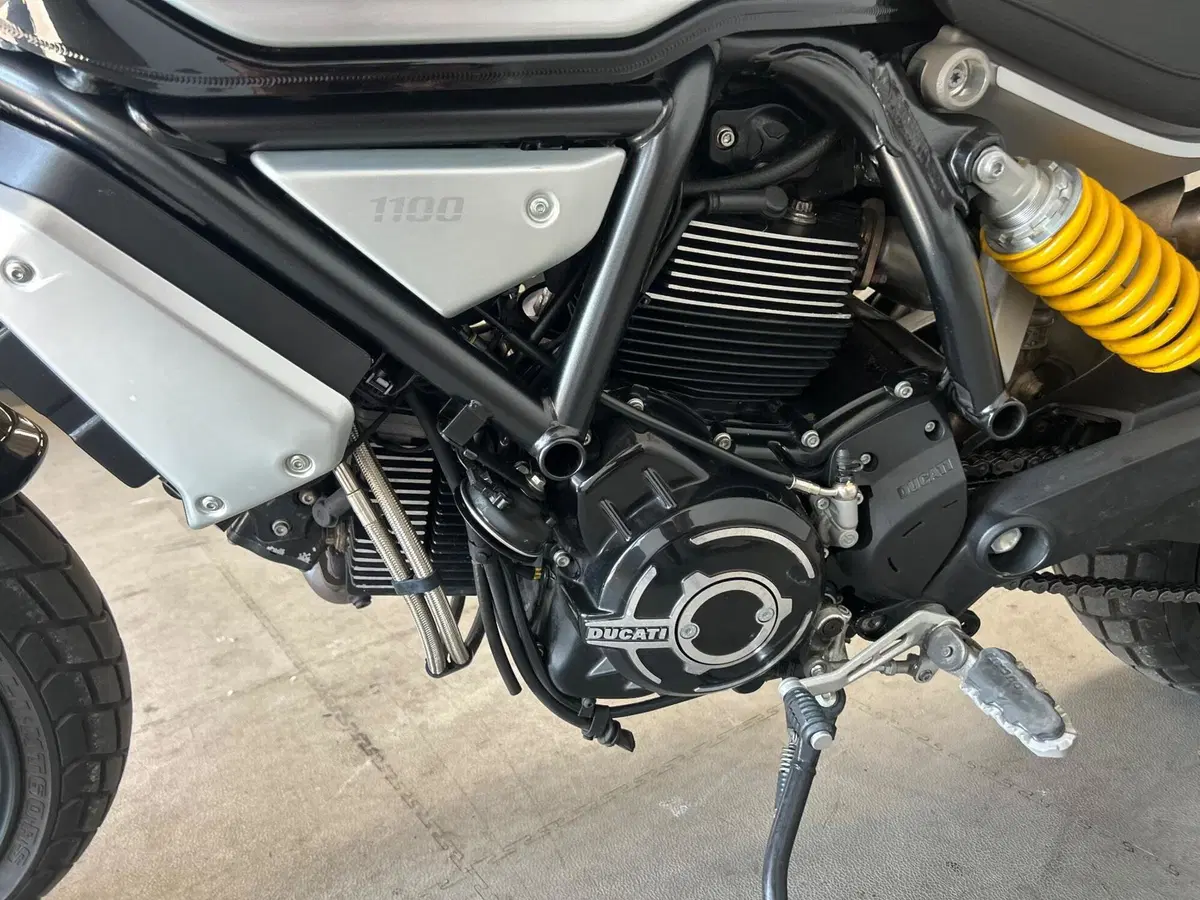 Ducati Scrambler 1100 (2018 - 20) (9)