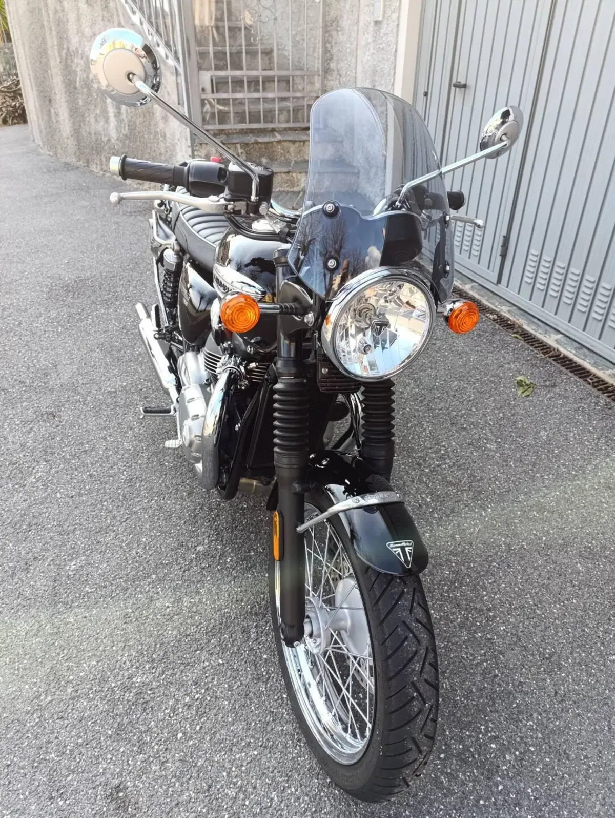 Triumph Bonneville T100 (2017 - 20) (6)
