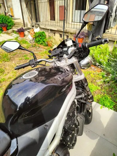 Triumph Speed Triple 955 (2002 - 04) usata