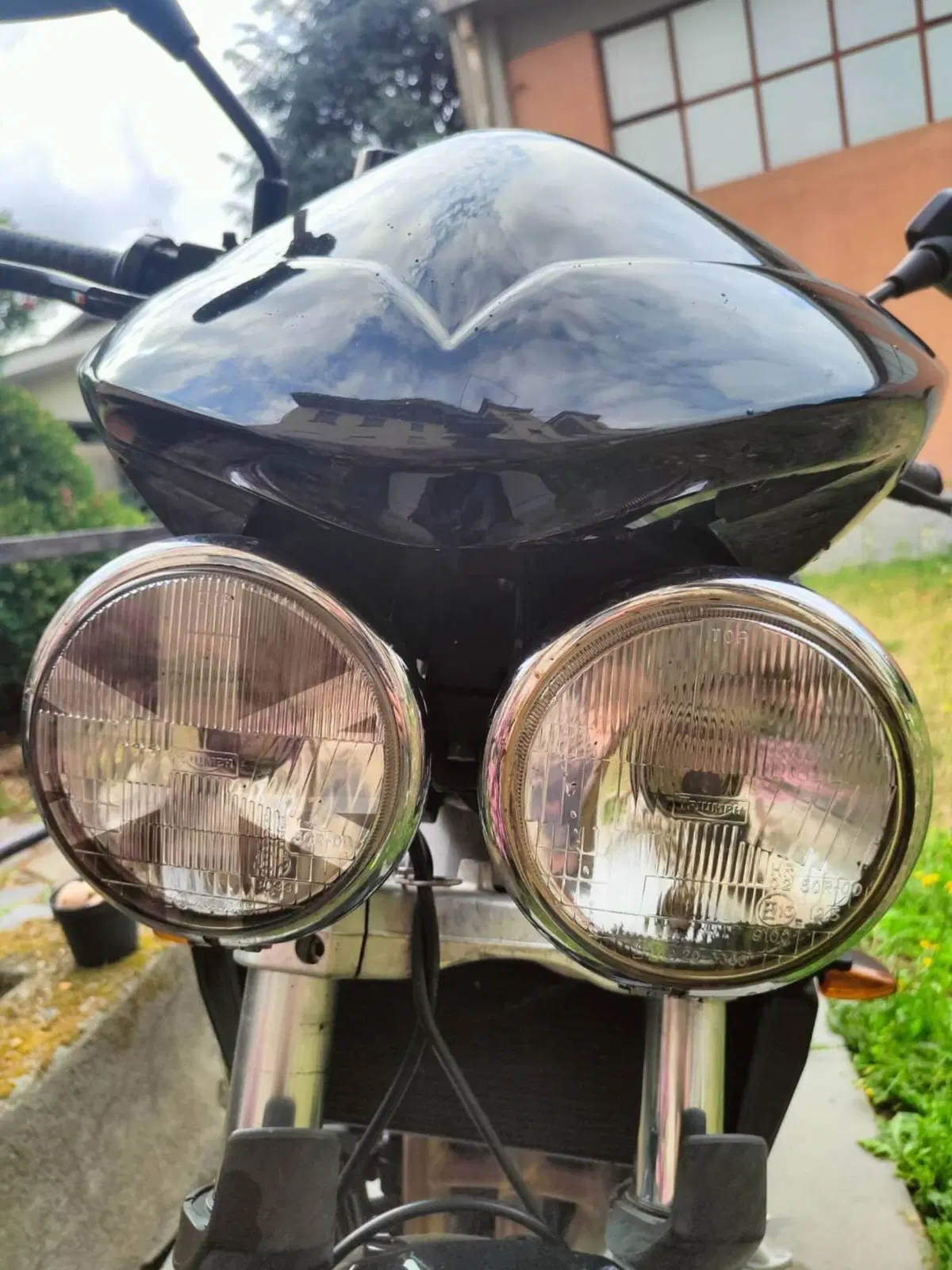 Triumph Speed Triple 955 (2002 - 04) (2)