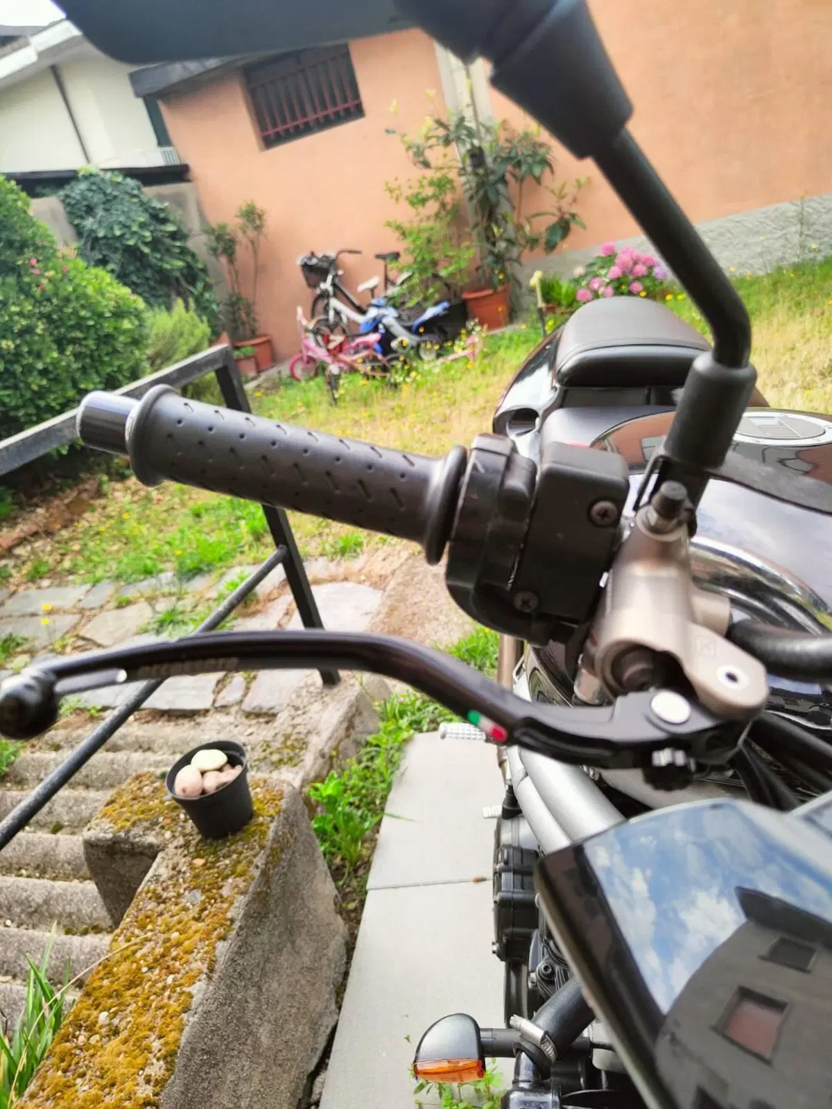 Triumph Speed Triple 955 (2002 - 04) (3)