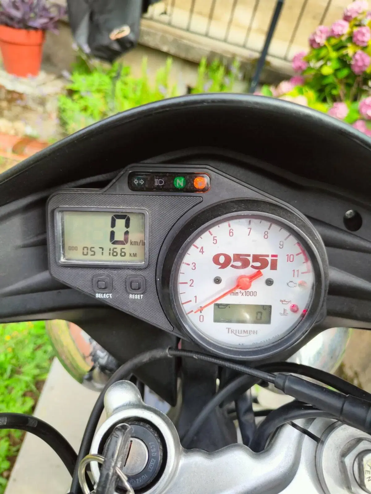 Triumph Speed Triple 955 (2002 - 04) (4)