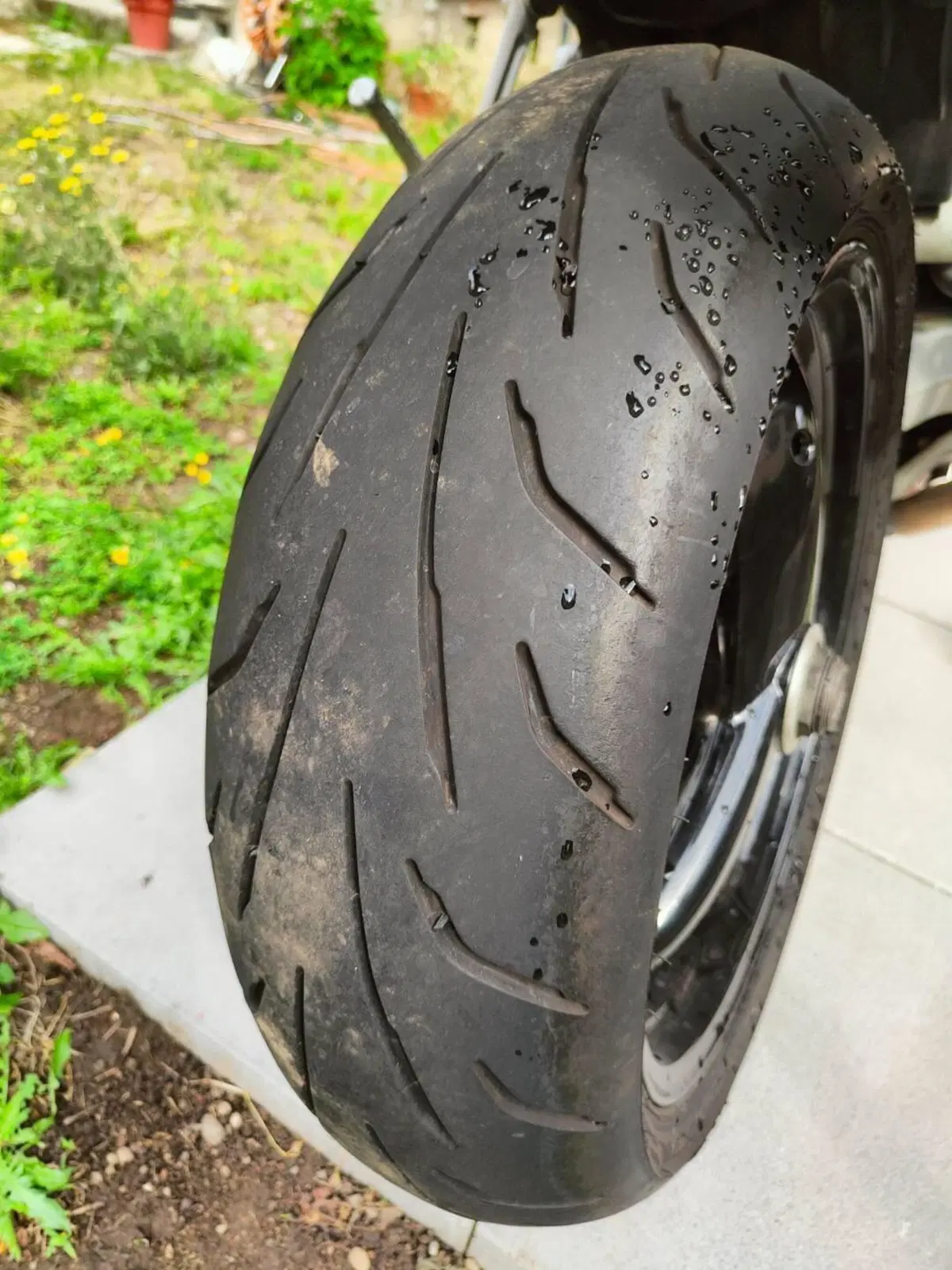 Triumph Speed Triple 955 (2002 - 04) (5)