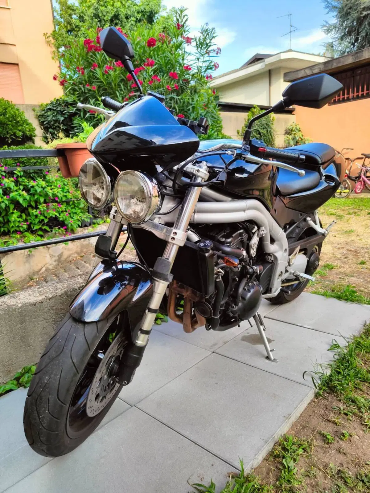 Triumph Speed Triple 955 (2002 - 04) (7)