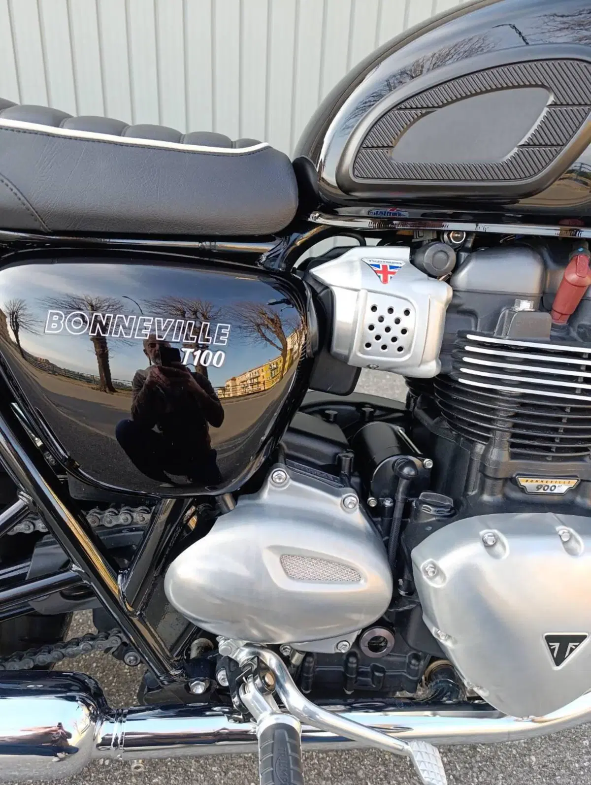 Triumph Bonneville T100 (2017 - 20) (8)