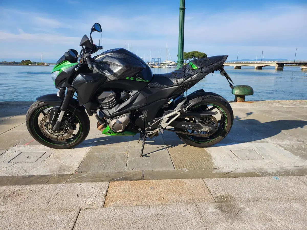 Kawasaki Z 800 Performance ABS (2013) (3)