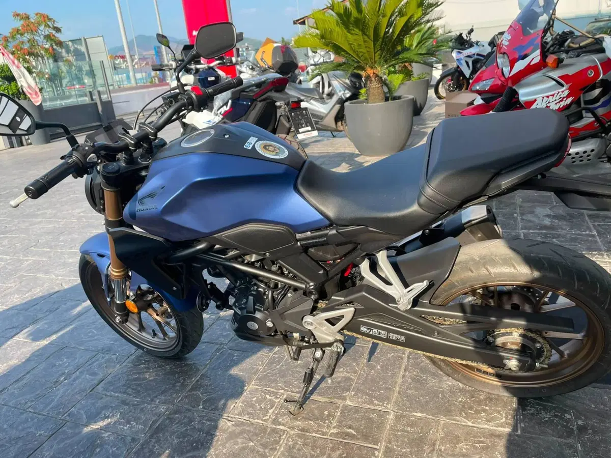 Honda CB 300 R (2022 - 26) (4)