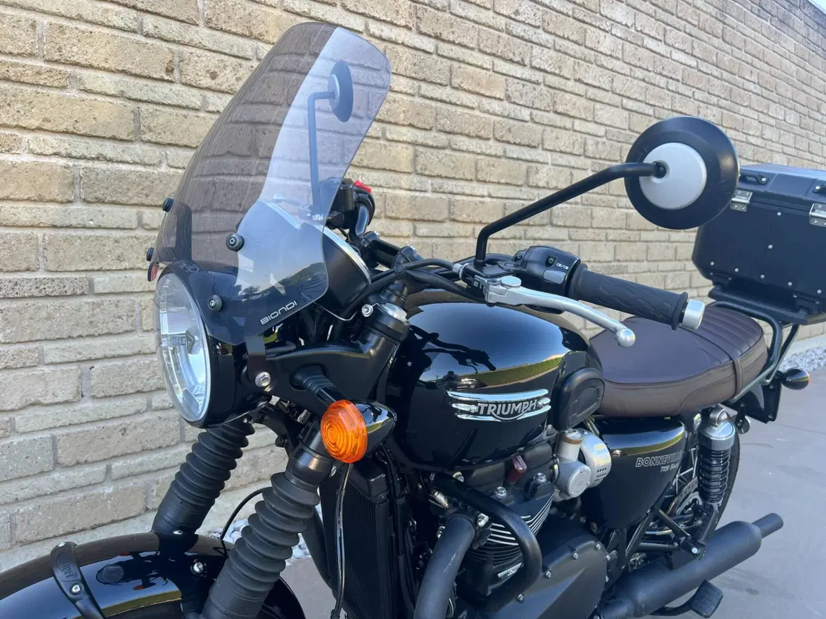 Triumph Bonneville T120 Black (2021 - 25) (3)