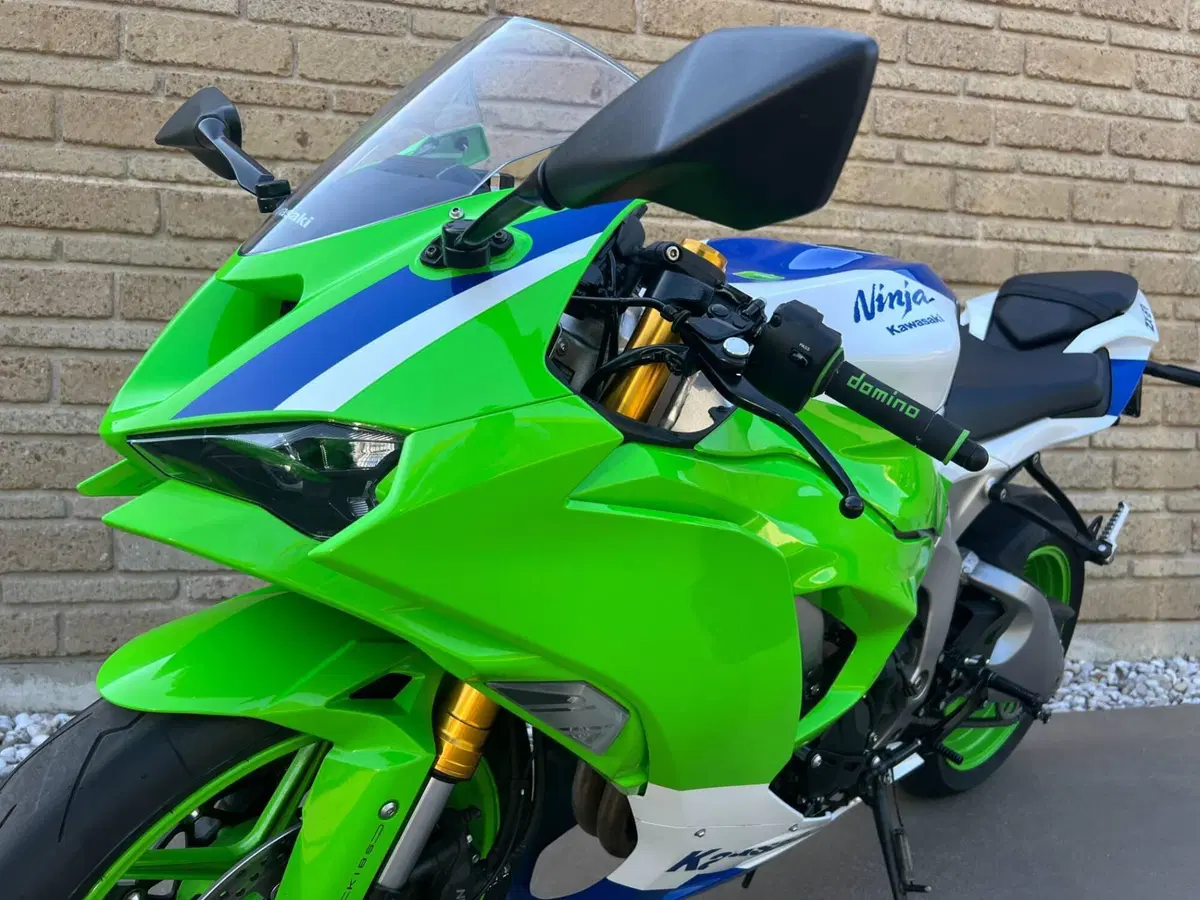 Kawasaki Ninja 636 ZX-6R (2024 - 26) (4)