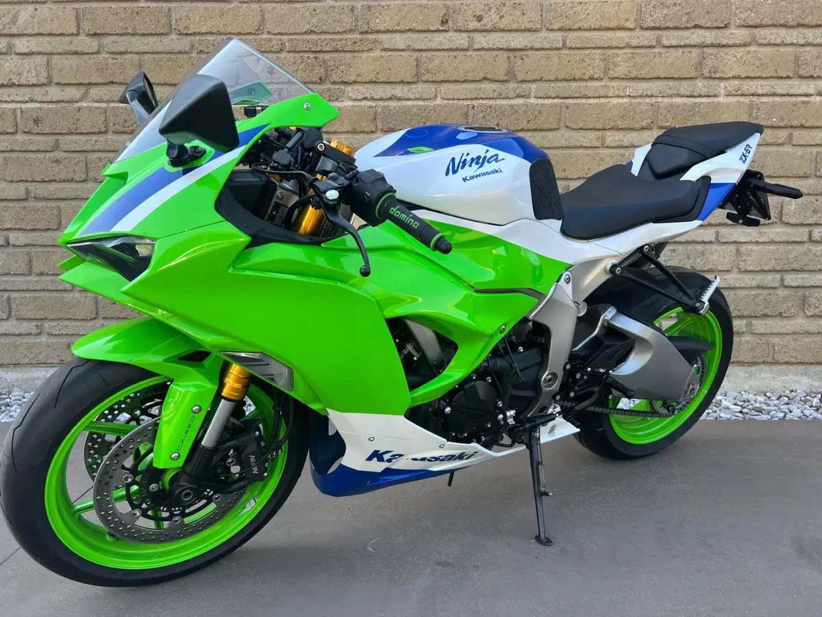 Kawasaki Ninja 636 ZX-6R (2024 - 26) (5)