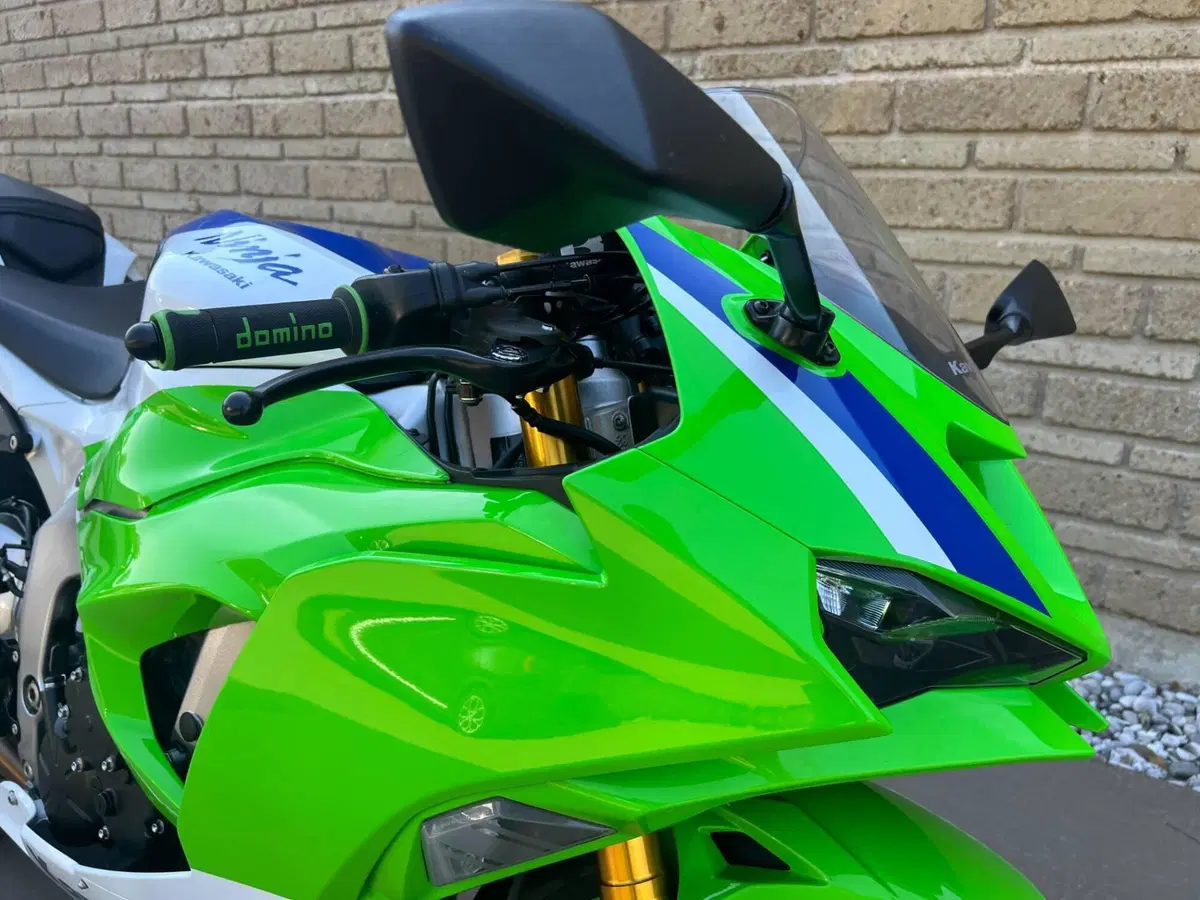 Kawasaki Ninja 636 ZX-6R (2024 - 26) (9)
