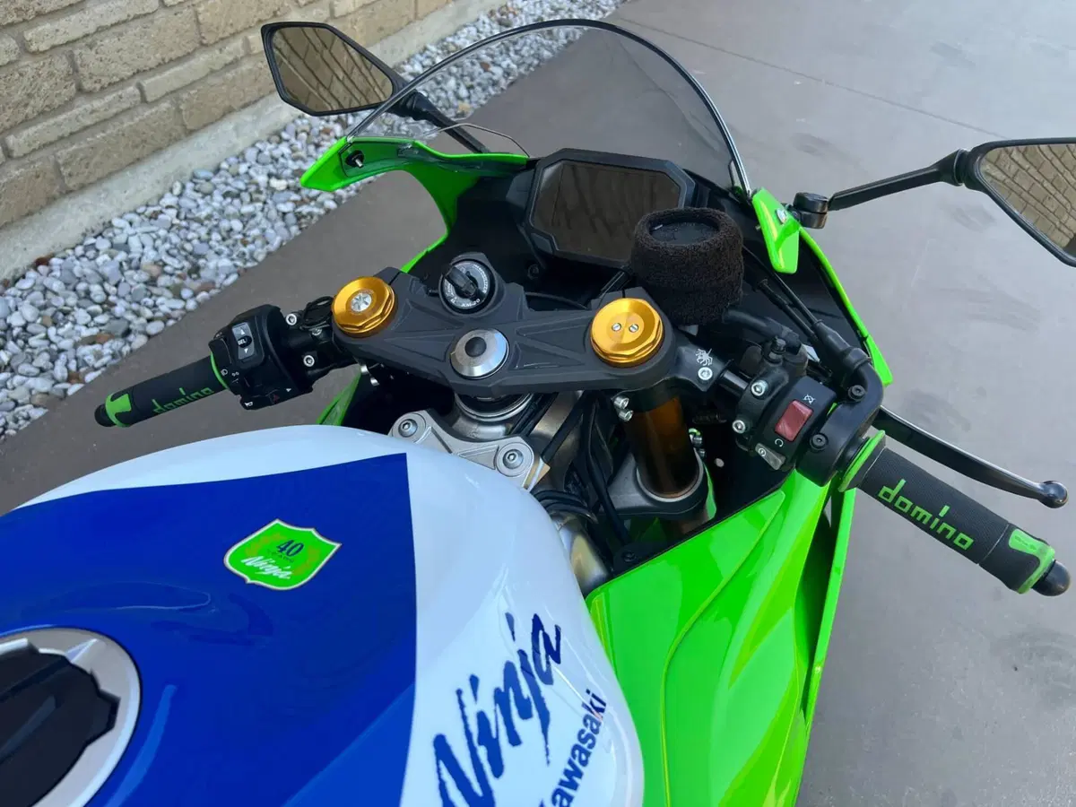Kawasaki Ninja 636 ZX-6R (2024 - 26) (10)
