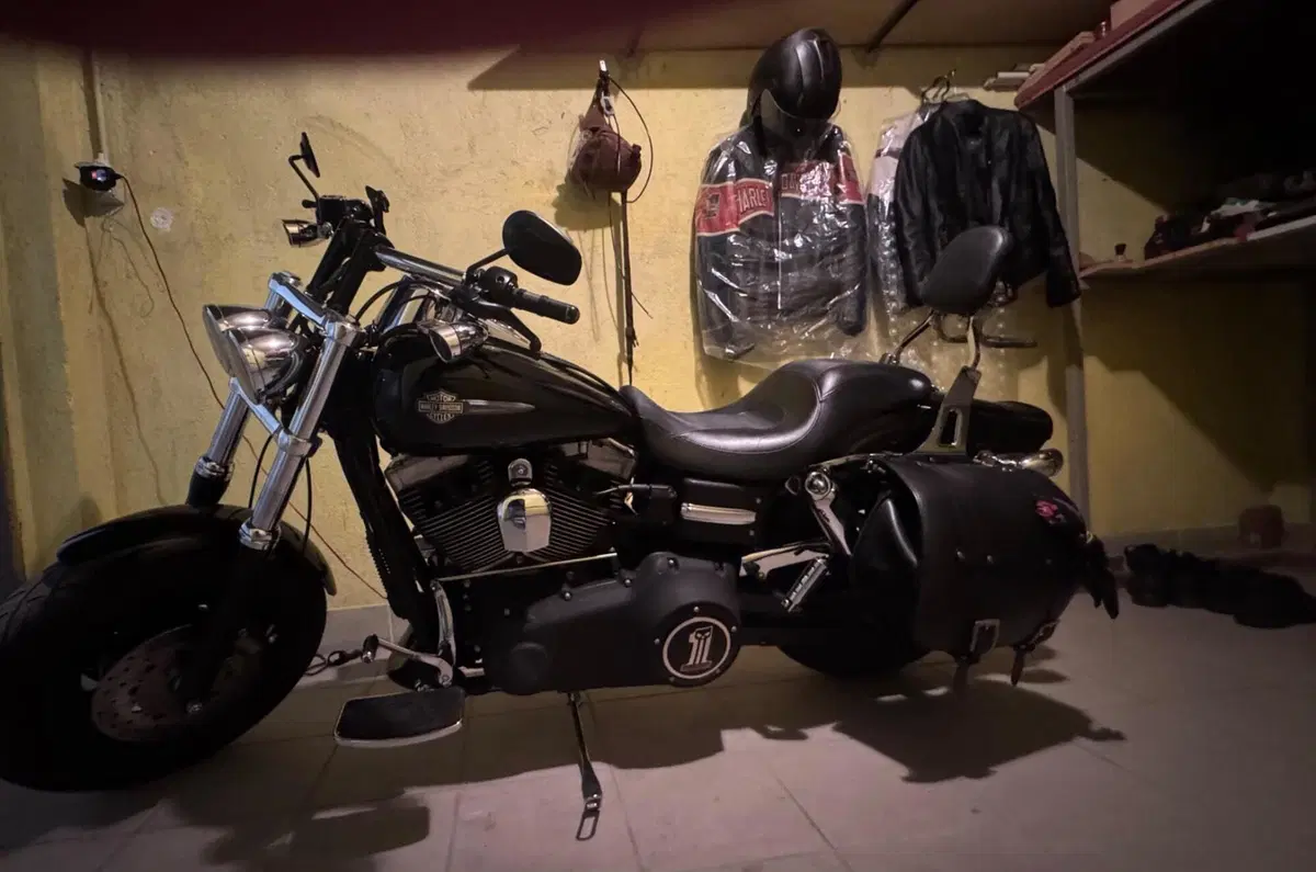 Harley-Davidson 1584 Fat Bob (2007 - 13) - FXDF (2)