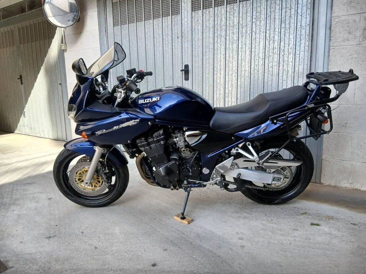 Suzuki GSF 1200 Bandit (2001 - 06) (3)