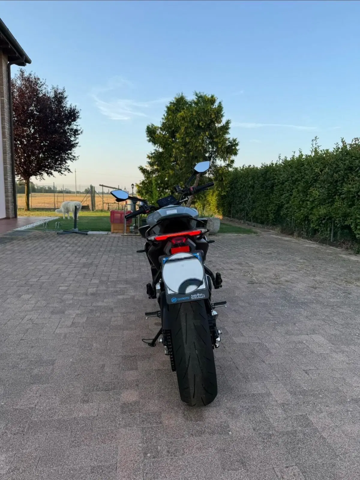 CFMOTO 675NK (2025 - 26) (6)