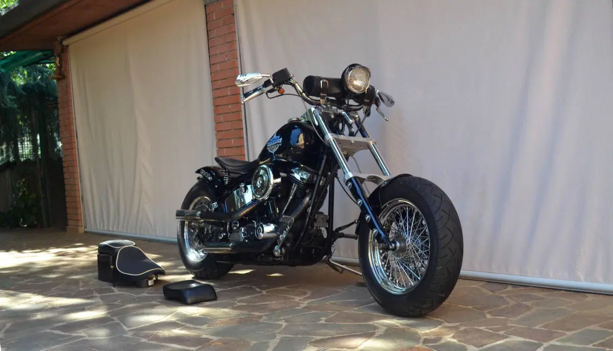 Harley-Davidson 1340 Custom (1989 - 98) (2)
