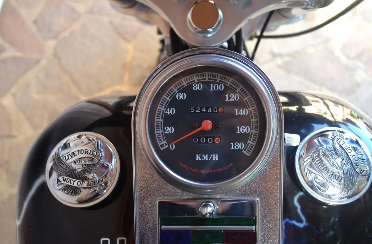 Harley-Davidson 1340 Custom (1989 - 98) (9)