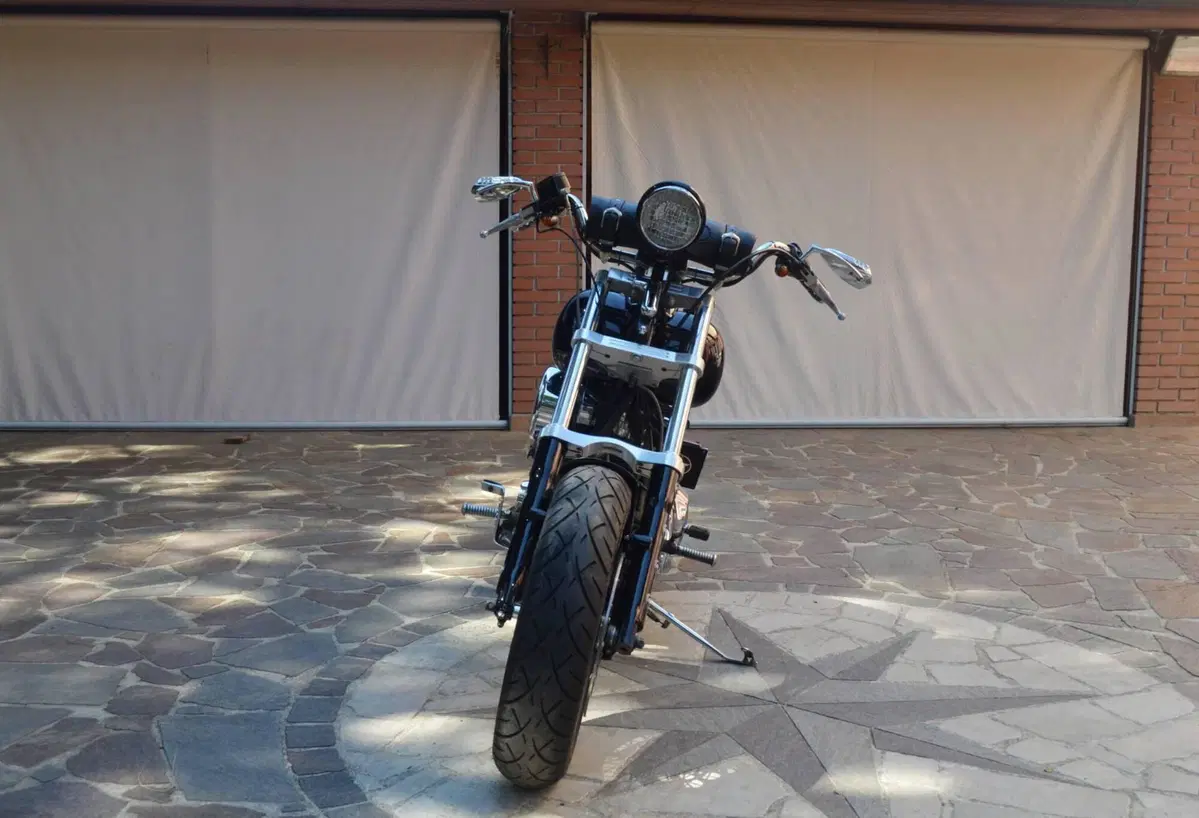 Harley-Davidson 1340 Custom (1989 - 98) (3)