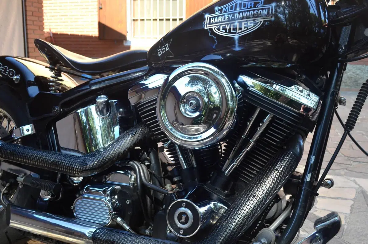 Harley-Davidson 1340 Custom (1989 - 98) (8)
