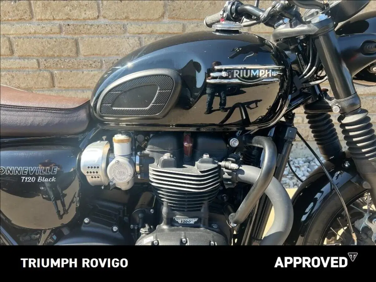 Triumph Bonneville T120 Black (2021 - 25) (2)