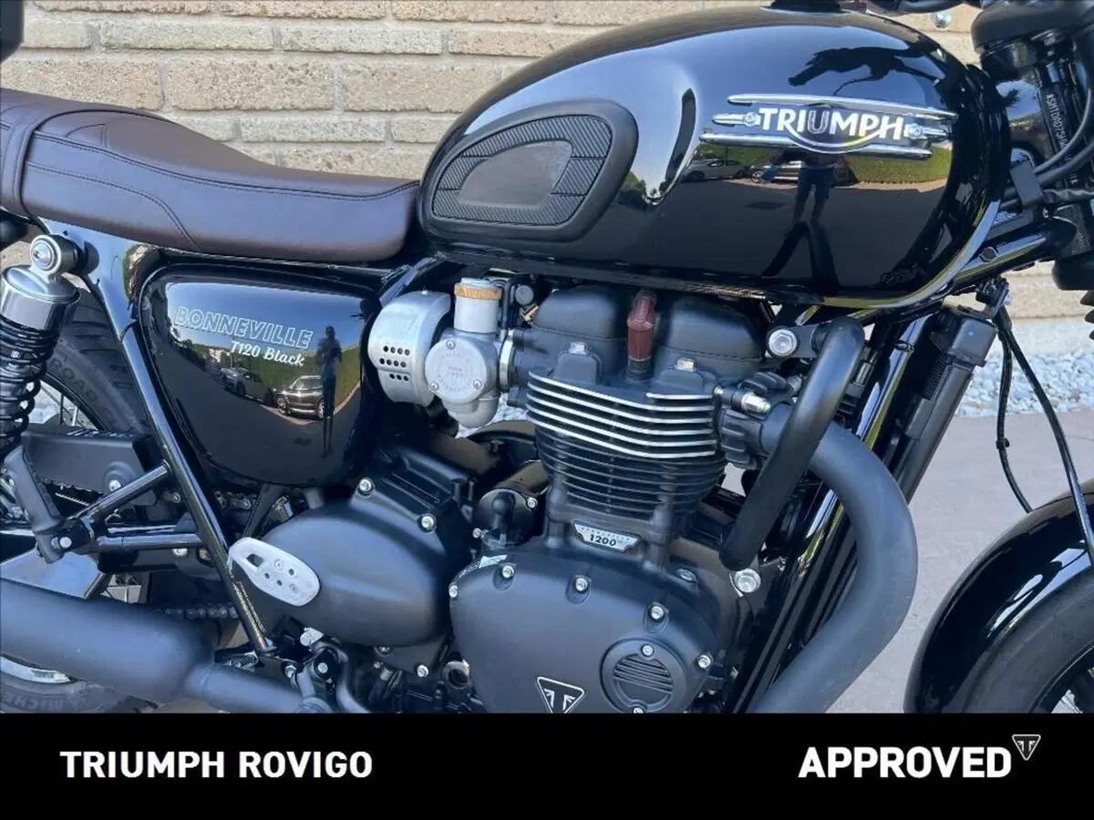 Triumph Bonneville T120 Black (2021 - 25) (12)