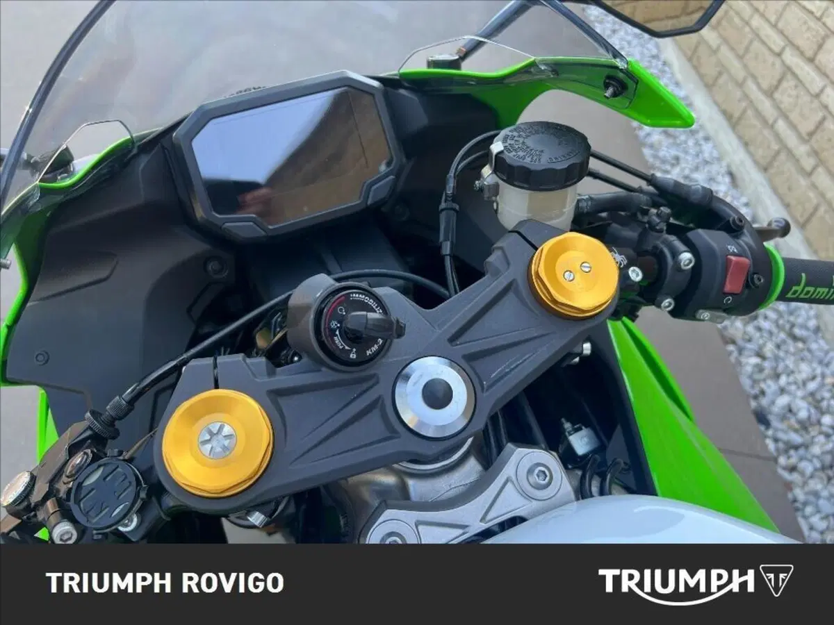 Kawasaki Ninja 636 ZX-6R 40th Anniversary Edition (2024) (5)