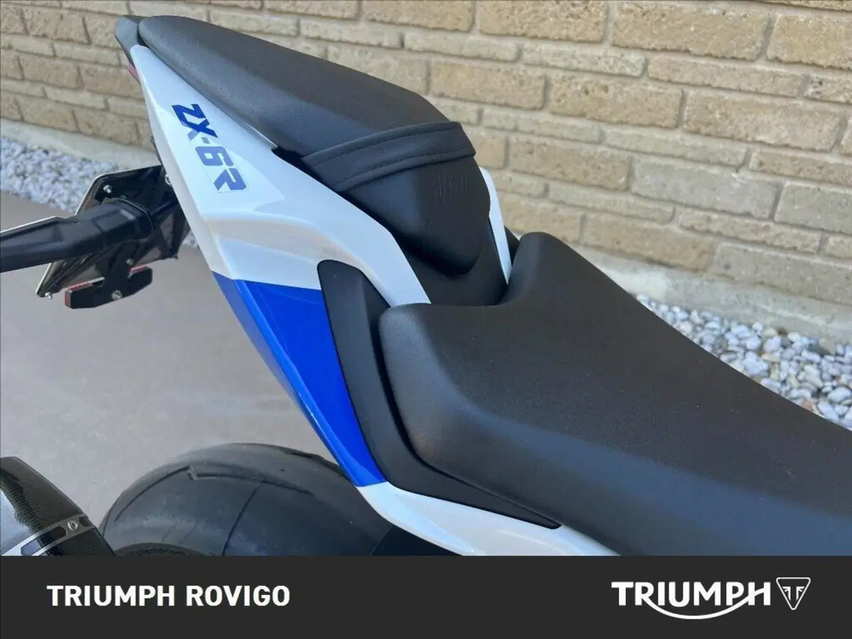 Kawasaki Ninja 636 ZX-6R 40th Anniversary Edition (2024) (10)
