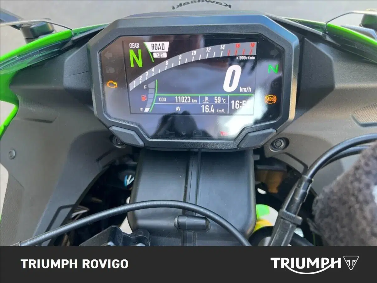 Kawasaki Ninja 636 ZX-6R 40th Anniversary Edition (2024) (13)