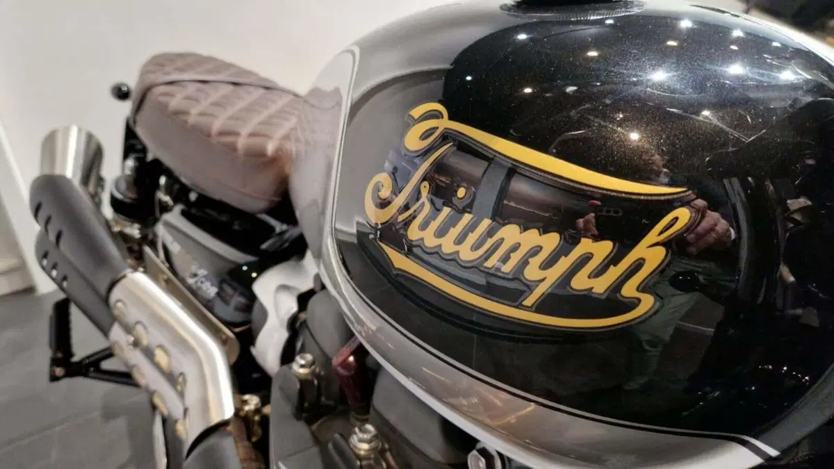 Triumph Scrambler 900 Icon Edition (2025 - 26) (12)