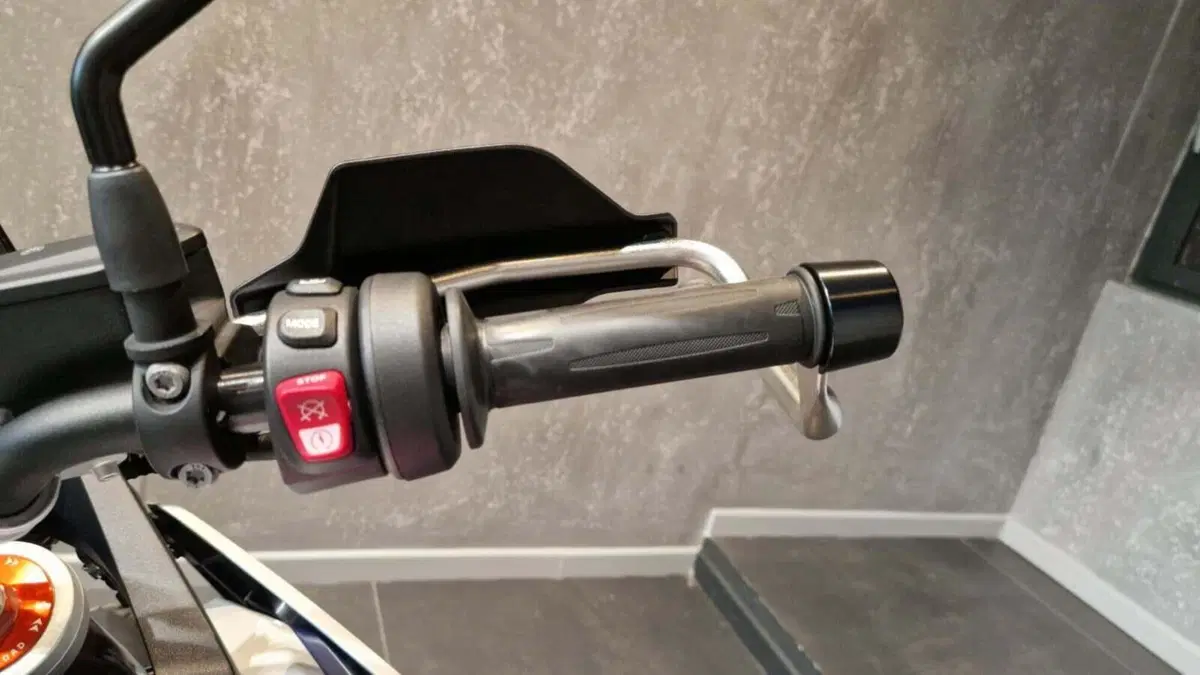 Bmw F 900 GS (2024 - 26) (8)
