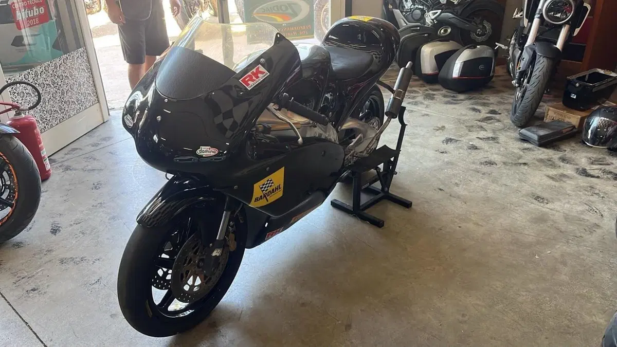 Aprilia RS 250 (1995 - 98) (5)