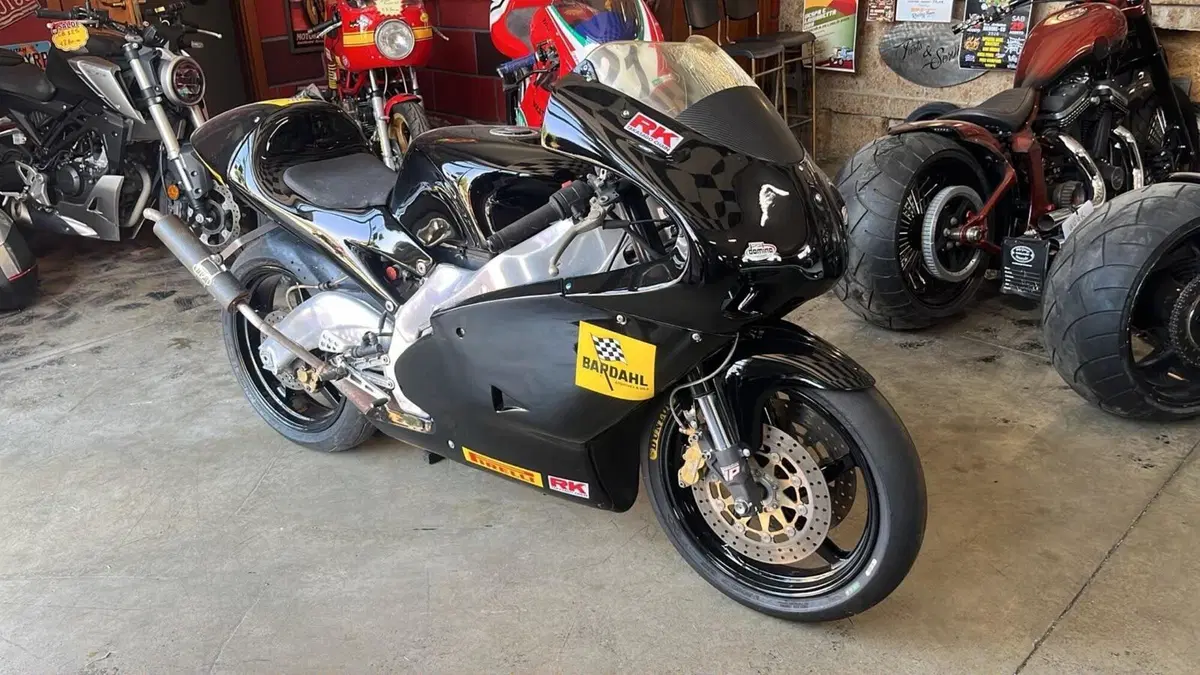 Aprilia RS 250 (1995 - 98) (6)