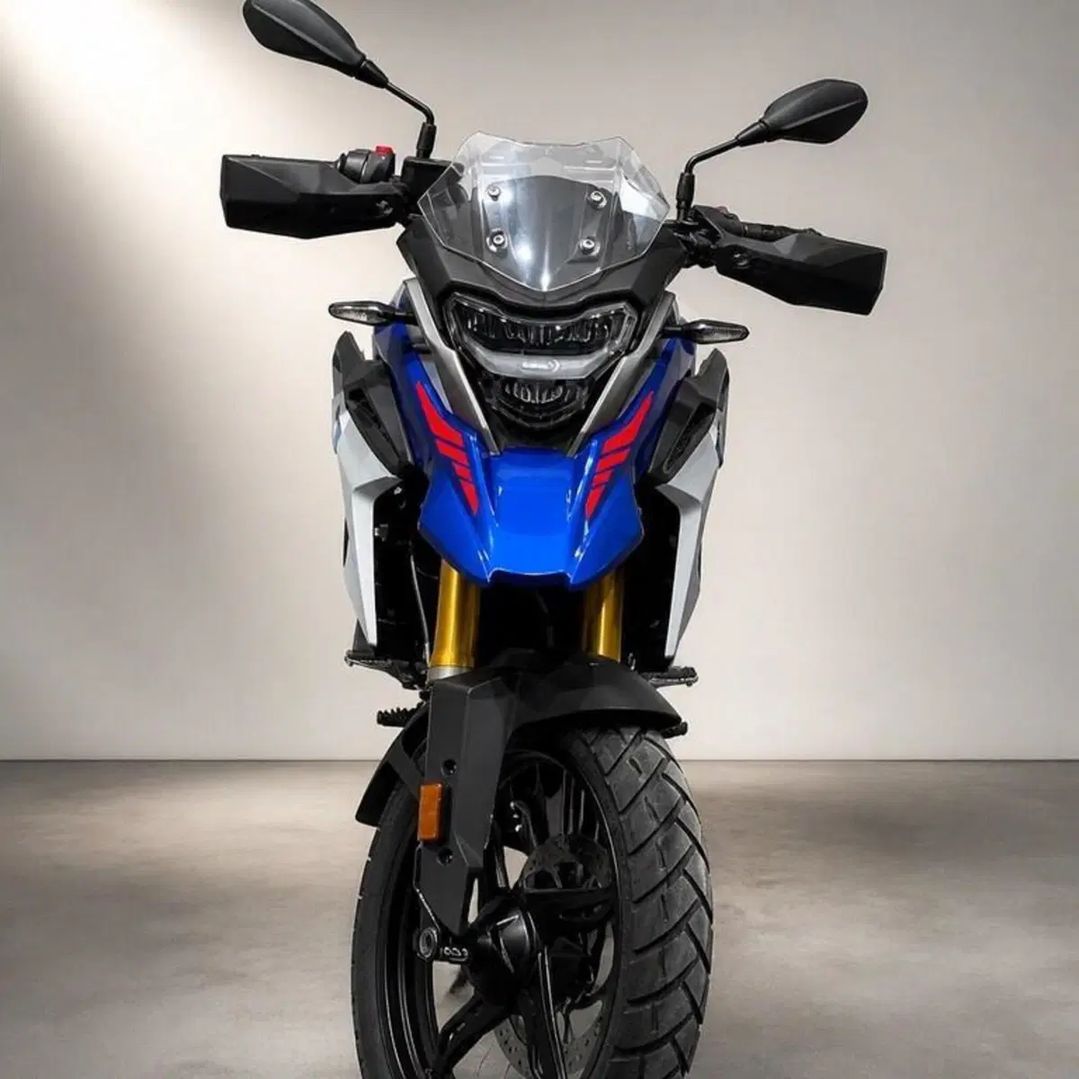Bmw G 310 GS (2021 - 25) (2)