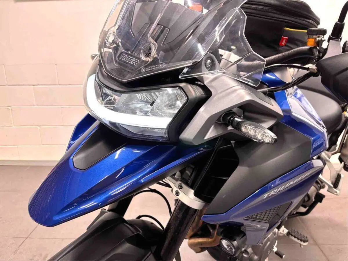 Triumph Tiger 1200 GT Pro (2022 - 23) (2)