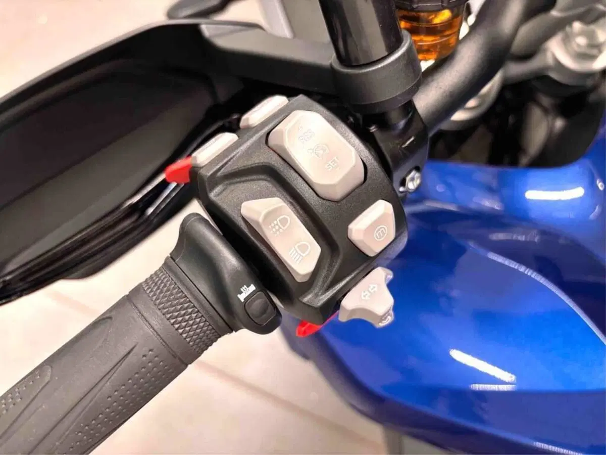 Triumph Tiger 1200 GT Pro (2022 - 23) (5)