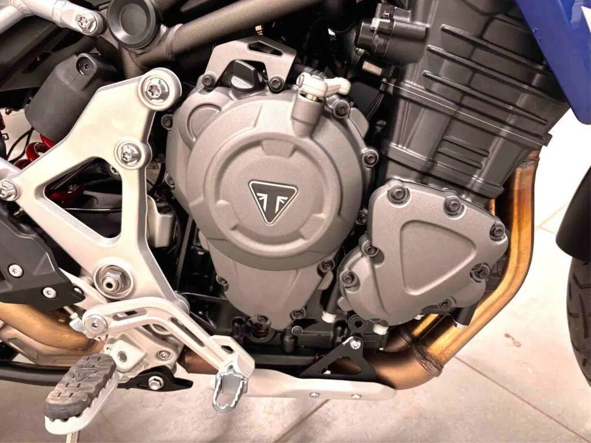Triumph Tiger 1200 GT Pro (2022 - 23) (4)