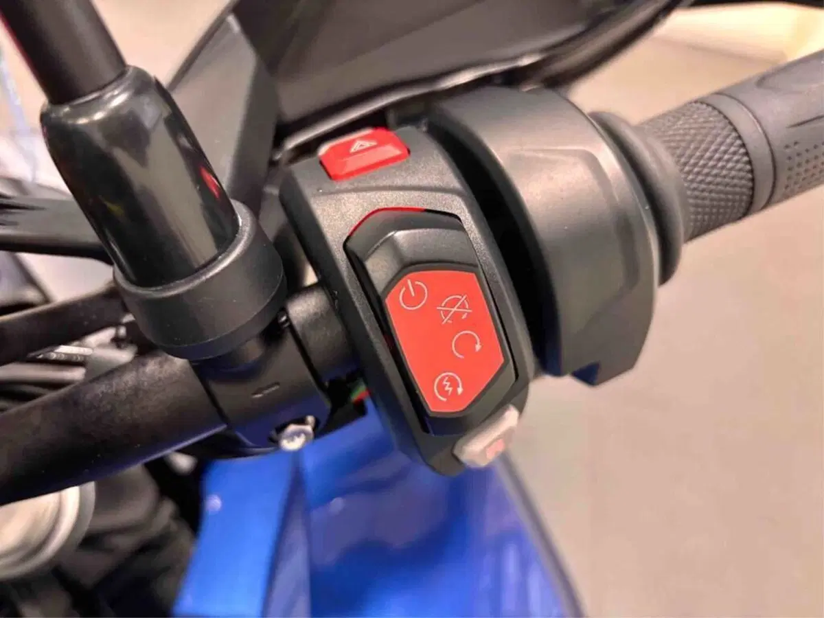 Triumph Tiger 1200 GT Pro (2022 - 23) (6)