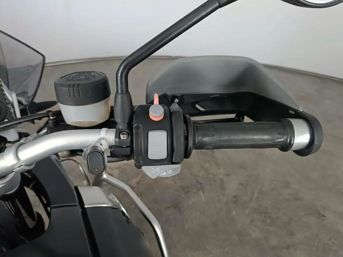 Bmw R 1200 GS (2008 - 09) (9)