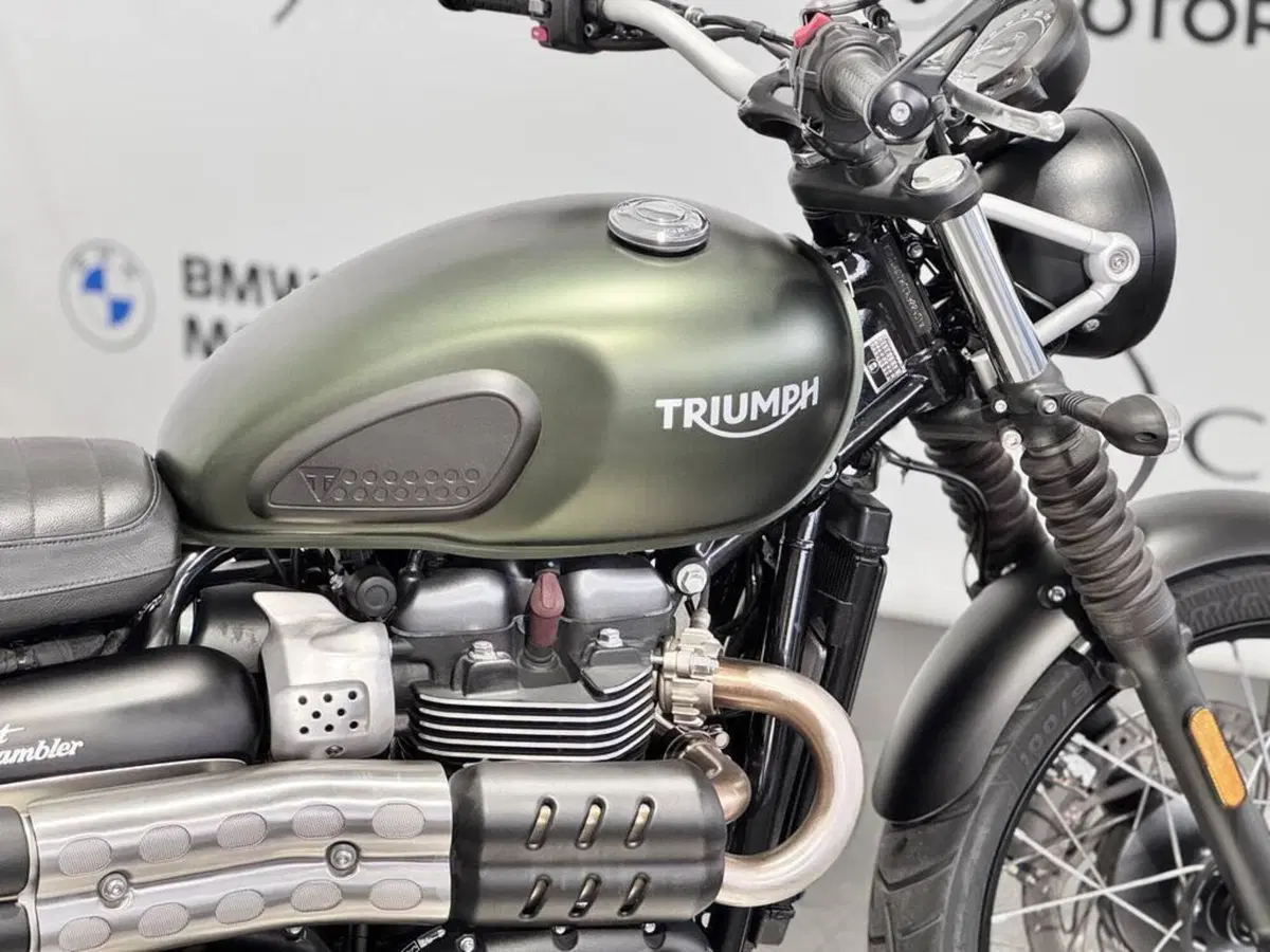 Triumph Street Scrambler 900 (2017 - 18) (13)