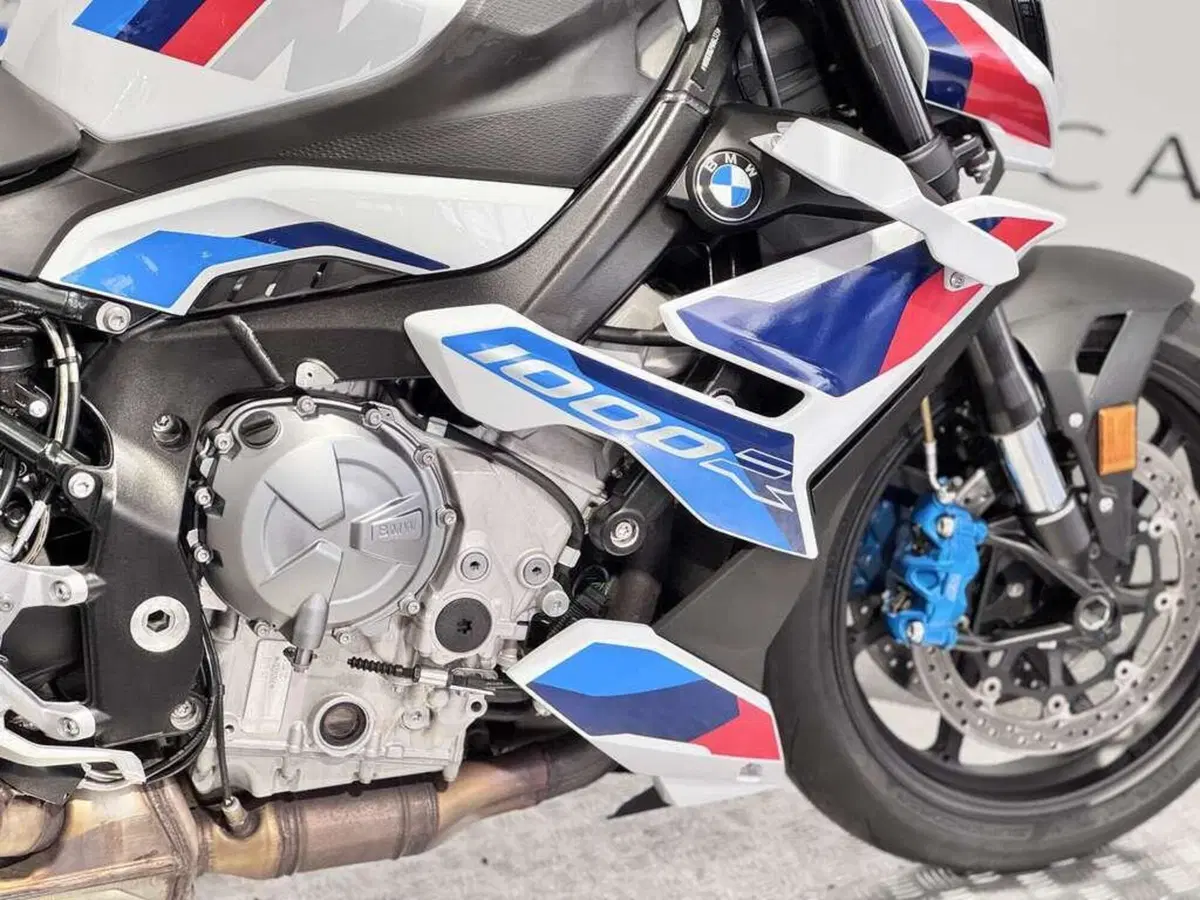 Bmw M 1000 R (2023 - 24) (14)